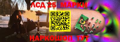 гашик Донской
