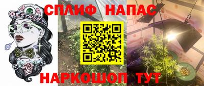 дмт Ачхой-Мартан