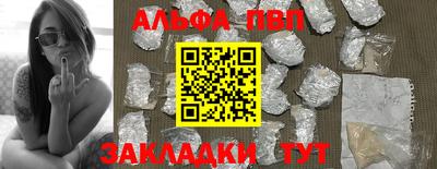гашик Донской