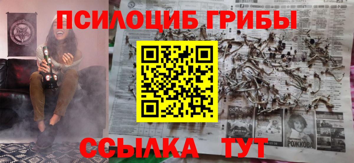 Псилоцибиновые грибы мицелий  Вход с VPN  как найти   Красногорск 