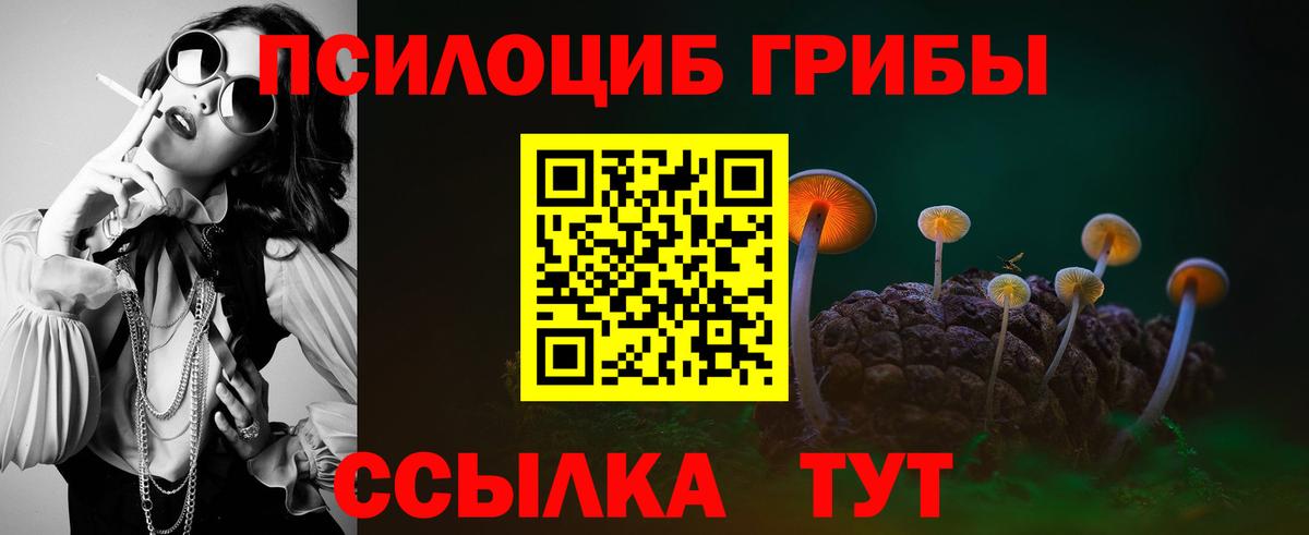 Галлюциногенные грибы Magic Shrooms Красногорск